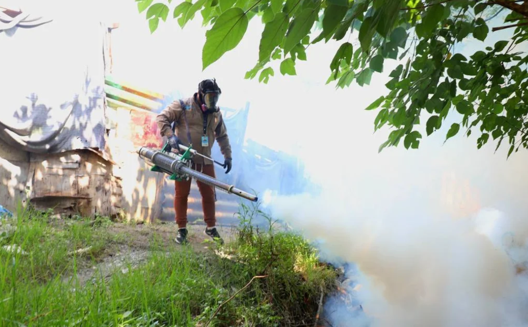 Sigue subiendo Nuevo León en casos de dengue